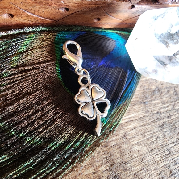 5/$25 Irish Shamrock Heart Charm for Bracelet St Patrick's Day Clover Bag Clip - Picture 9 of 13